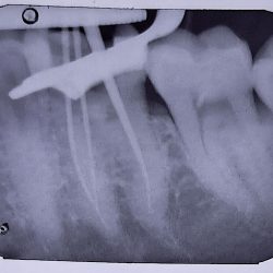 Family Dentist