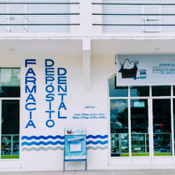 Farmacia Y Depósito Dental Del Valle
