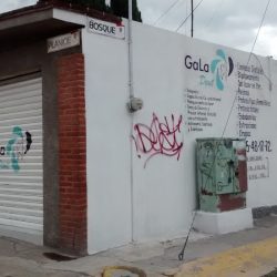 Gala Dent