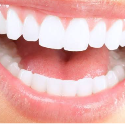 Gary Dent Odontologia Integrales Estética