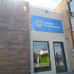 Gaspar Endodontics