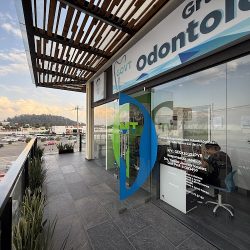 Govt Grupo De Especialidades Odontológicas Del Valle De Toluca