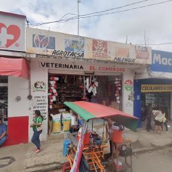 Gs Dental Palenque