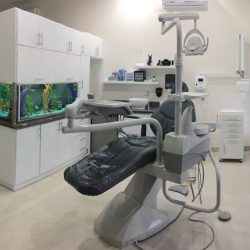 Gt Especialidades Dentales