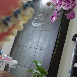 Guevara Dental Group