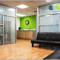 Healthiest Of Smiles (diego Espinoza, Dentist)