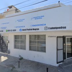 Higiene Dental
