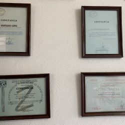 Holistic Dental Center Dentsta
