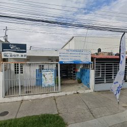 Imagen Odontológica