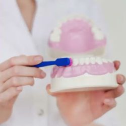 Integral Dental Care León