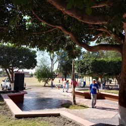 Jardin Principal De Cañones