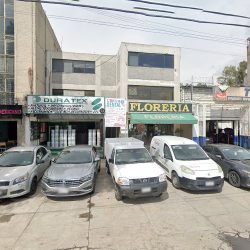 Jessica Padrón Fierros, Dentista - Odontólogo