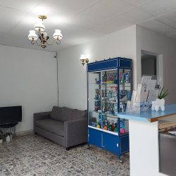 Kanay Clínica Dental