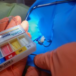 Kattava Consultorio Dental