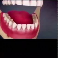 Kool Dental