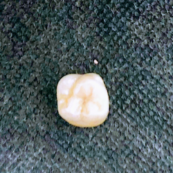 Laboratorio Dental Blanco