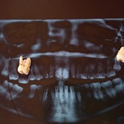Laboratorio Y Consultorio Dental Tenancingo