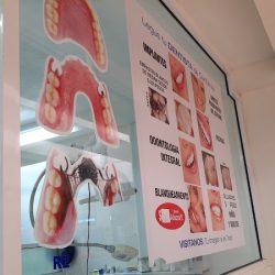 Legus Dentistas