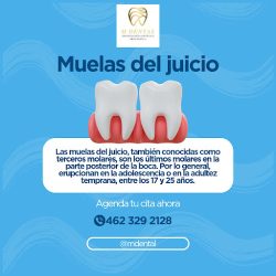 M Dental Odontología Estética Preventiva