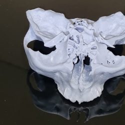 Medent, Especialidades Medicas Y Dentales