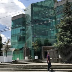 Médica Árbol De La Vida