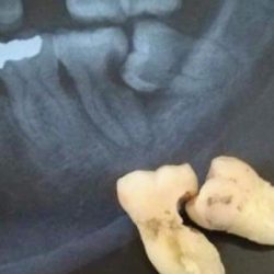 Médico Dental García