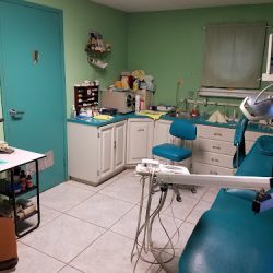 Mejor Dentista
