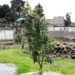 Mezapa La Fabrica, Xalatlaco