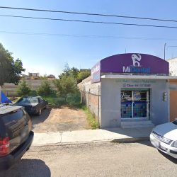 Mi Dental