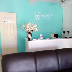 Mint Dental Care Y Nucleolab Laboratorio