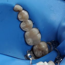 Moland Dental