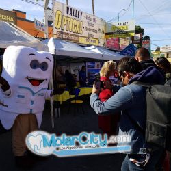 Molar City