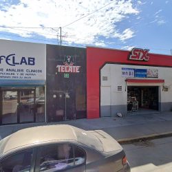 Molar Dental- Paulina Nevarez