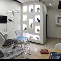 Molare Dental