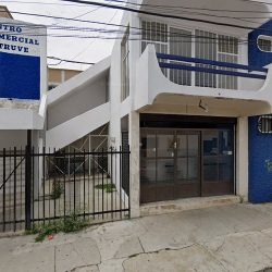 Morales López Raúl