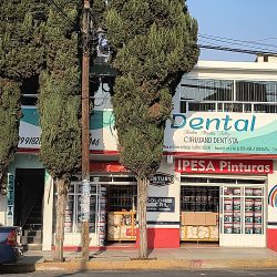 Mt Dental