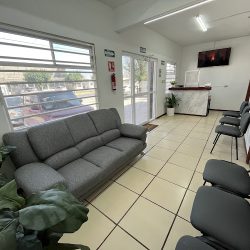 Mundo Dental Ojinaga
