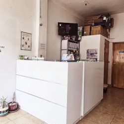 Mv Dental