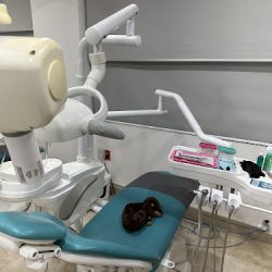 Negocio Nakama Dental Clinic