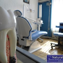 Negocio Natural Dent