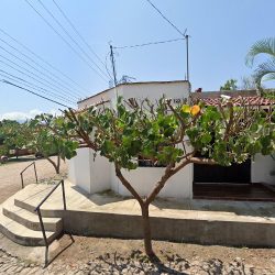 Nero Especialistas En Rehabilitación Oral