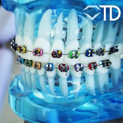 Novadent/dentista. Suc. Chetumal