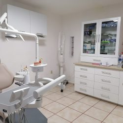 Núcleo Girasoles - Dental Innova