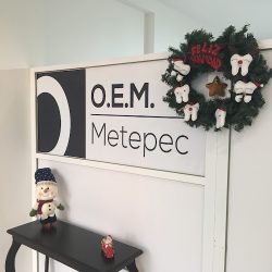 O.e.m (odontología Estética Metepec)