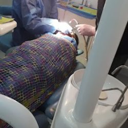 Odent