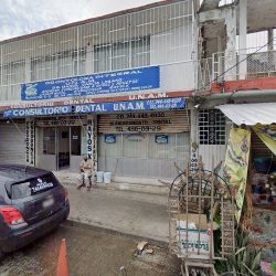 Odontología Dental