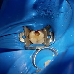 Odontología Estética E Integral