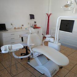 Odontología Estética Funcional E Implantes Xavier Navarro