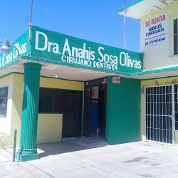 Odontologia Estética Integral