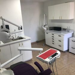 Odontología General Y Especialidades Dentales 